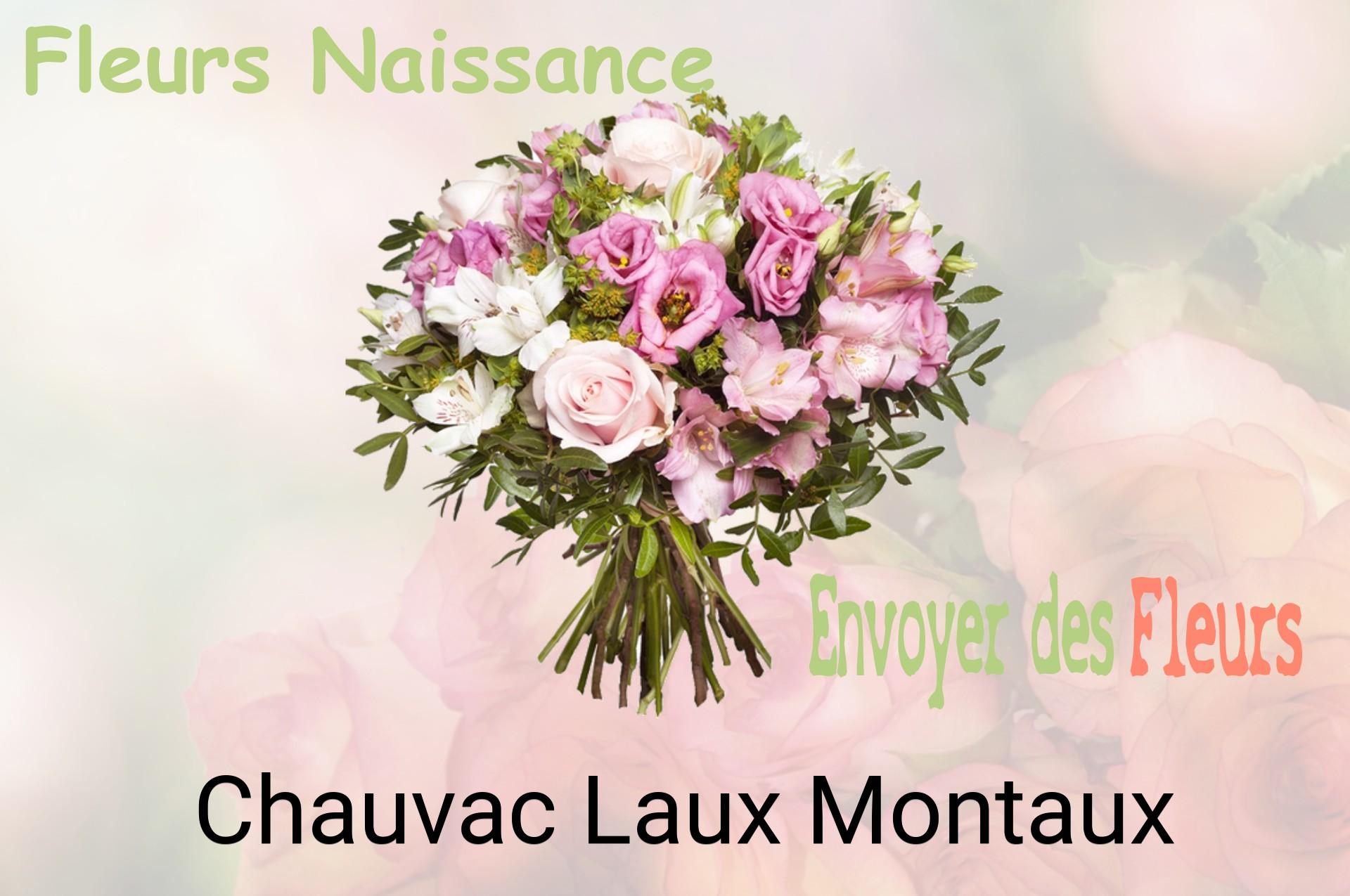 Bouquet de fleurs de naissance livré à Chauvac-Laux-Montaux